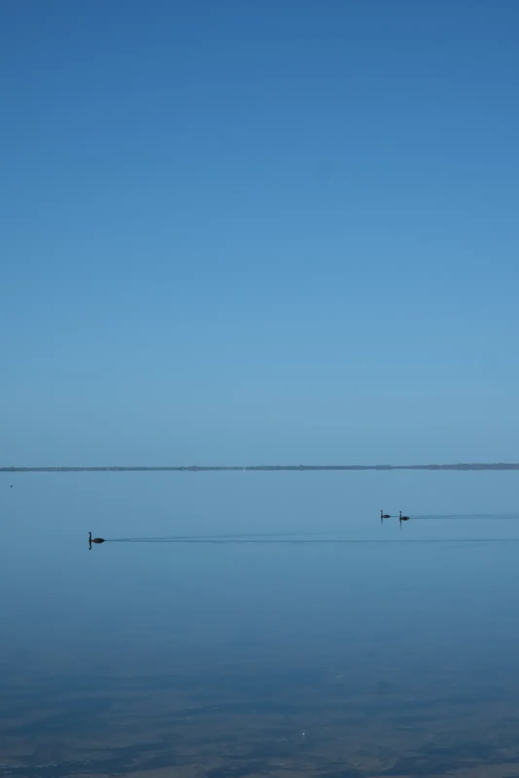 Calm water at Mandurah